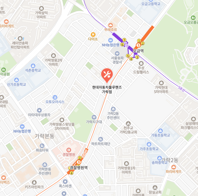 가락점(전문 블루핸즈) 지도 이미지
