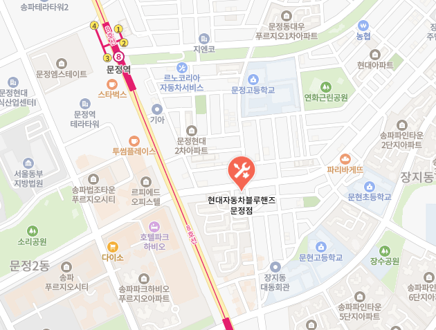 문정점(전문 블루핸즈) 지도 이미지