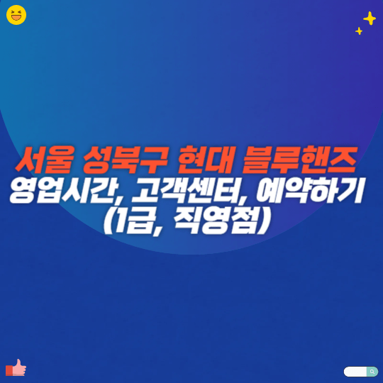 서울 성북구 현대 블루핸즈 영업시간, 고객센터, 예약하기(1급, 직영점)