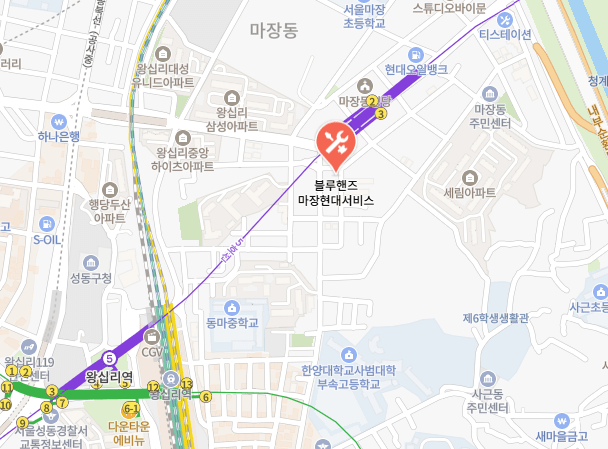 현대 블루핸즈 마장 현대서비스 지도 이미지
