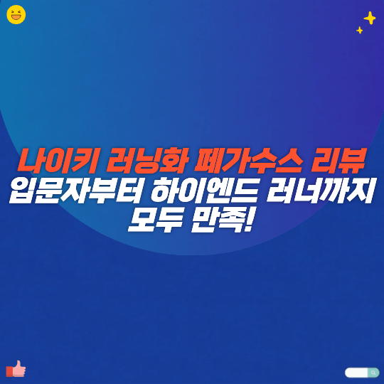 나이키 러닝화 페가수스 리뷰 입문자부터 하이엔드 러너까지 모두 만족!