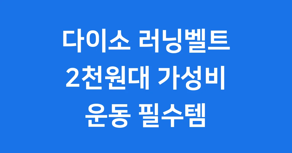 다이소 러닝벨트 가성비 아이템 후기